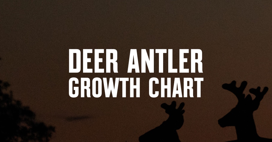 Deer antler growth chart in white font