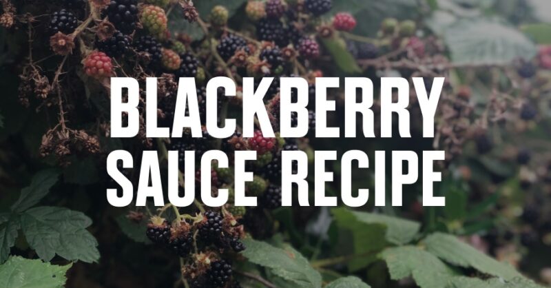 Wild blackberries with blackberry sauce recipe overlaid in white font