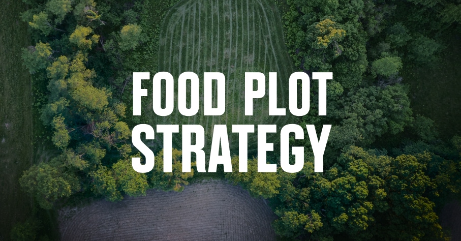 An aerial shot of a food plot with Food Plot Strategy overlaid.