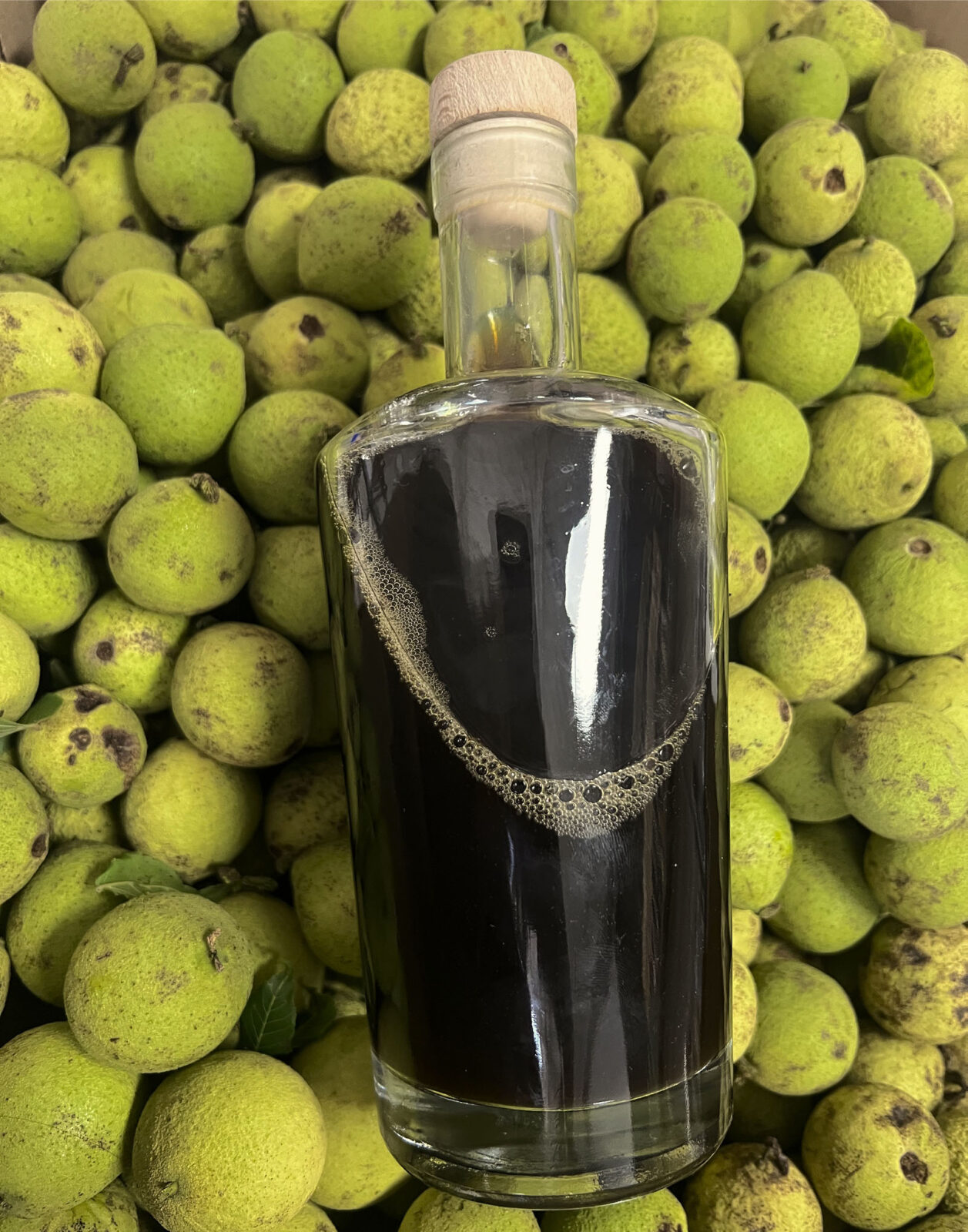 A bottle of Nocino Liqueur atop green walnuts.