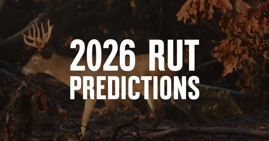 A whitetail buck with 2026 rut predictions written in white font