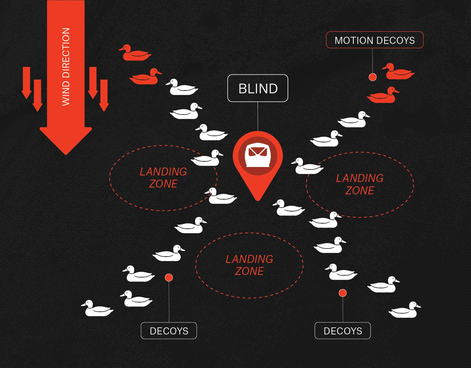 An infographic showing how to set up duck decoys on big water