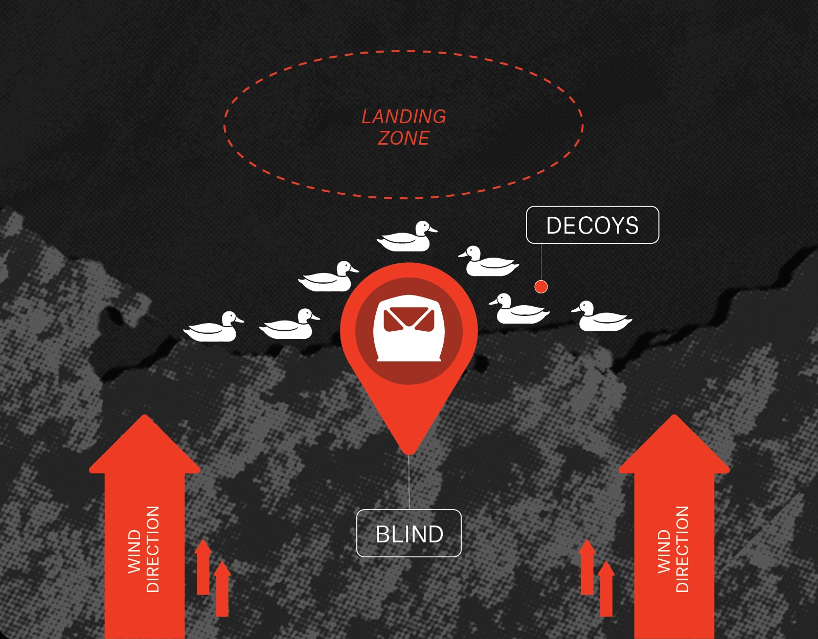 An infographic showing how to set up duck decoys on ponds