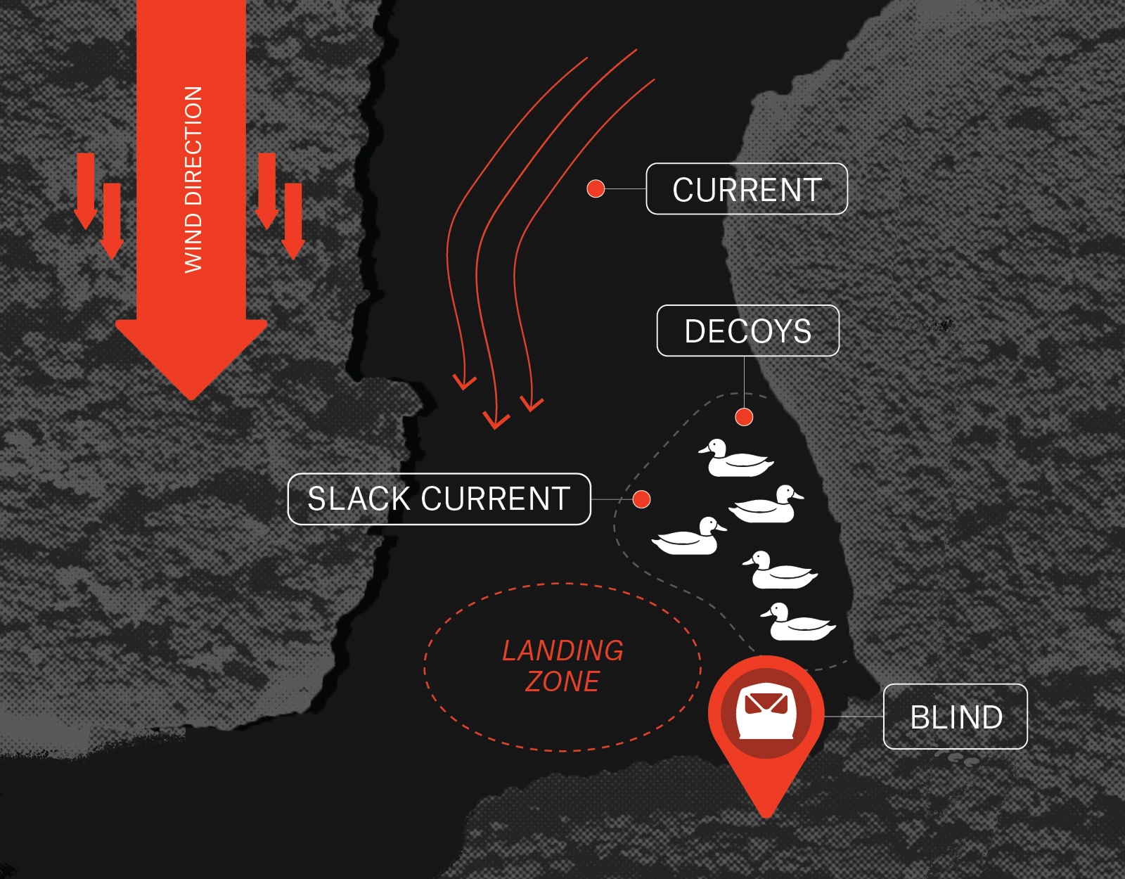 An infographic showing how to set up duck decoys on a river