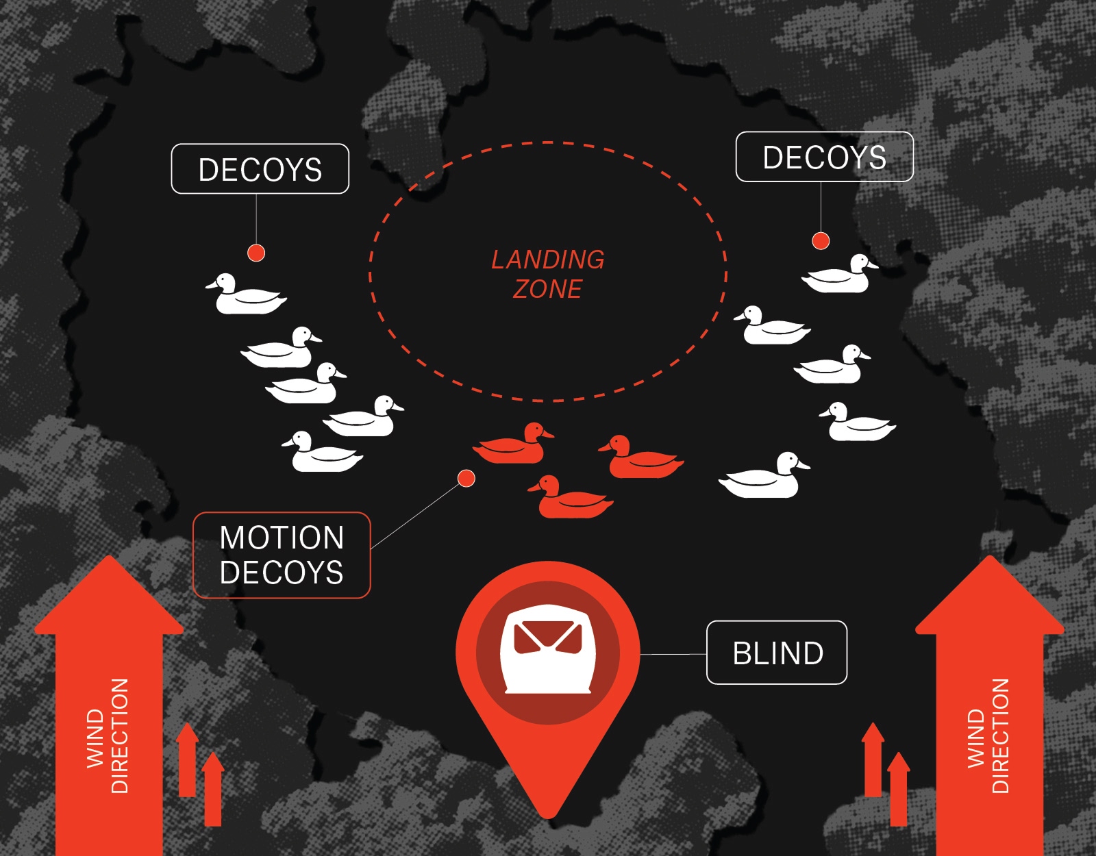 An infographic showing how to set up duck decoys in flooded timber