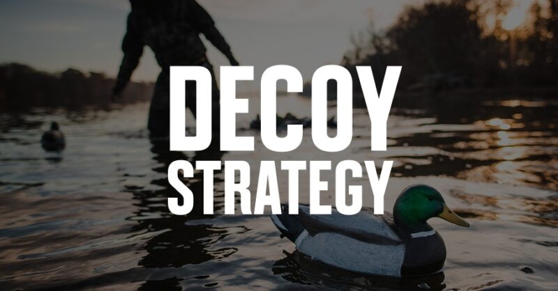 A hunter sets up duck decoys, and decoy strategy is overlaid in white font.