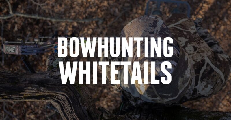 A bow hunter in the whitetail woods with bowhunting whitetails overlaid in white text