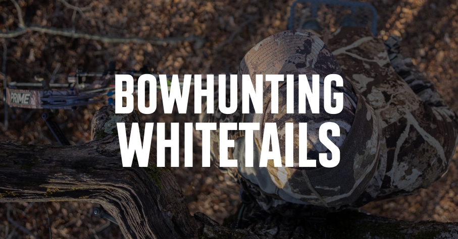 A bow hunter in the whitetail woods with bowhunting whitetails overlaid in white text