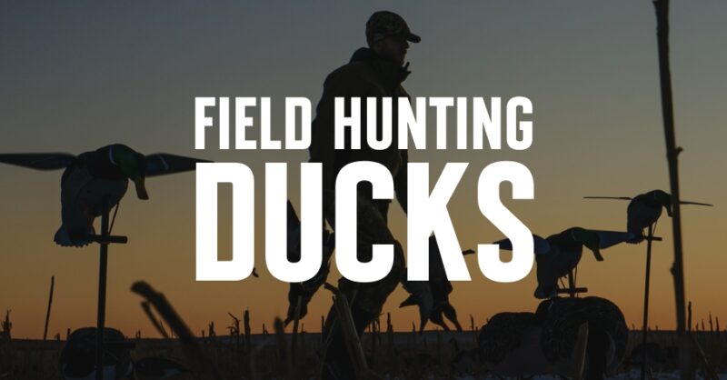 A hunter setting up duck decoys with field hunting ducks overlaid in white font