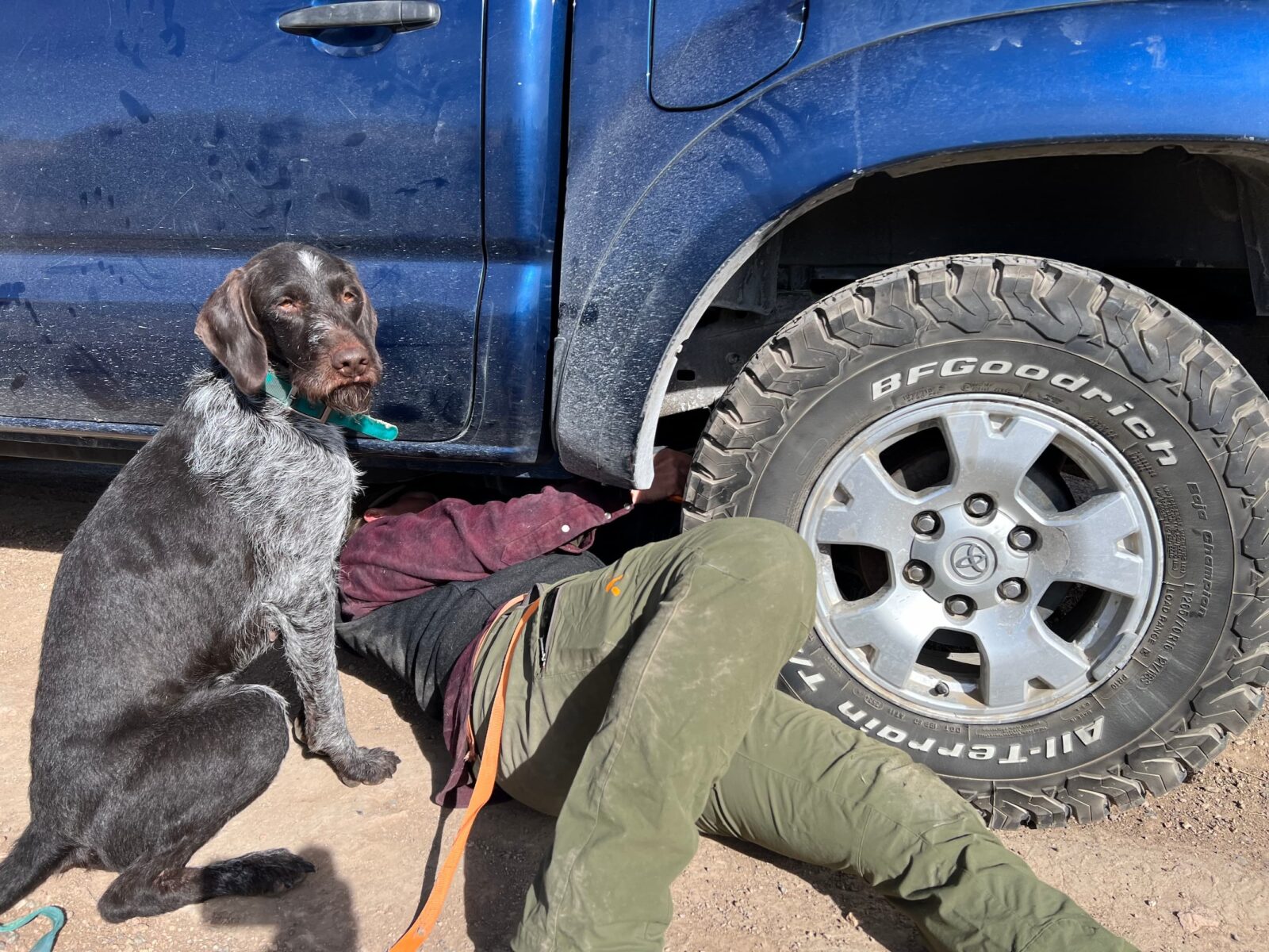 A woman works on the underside of her truck with her dog sitting next to her.
