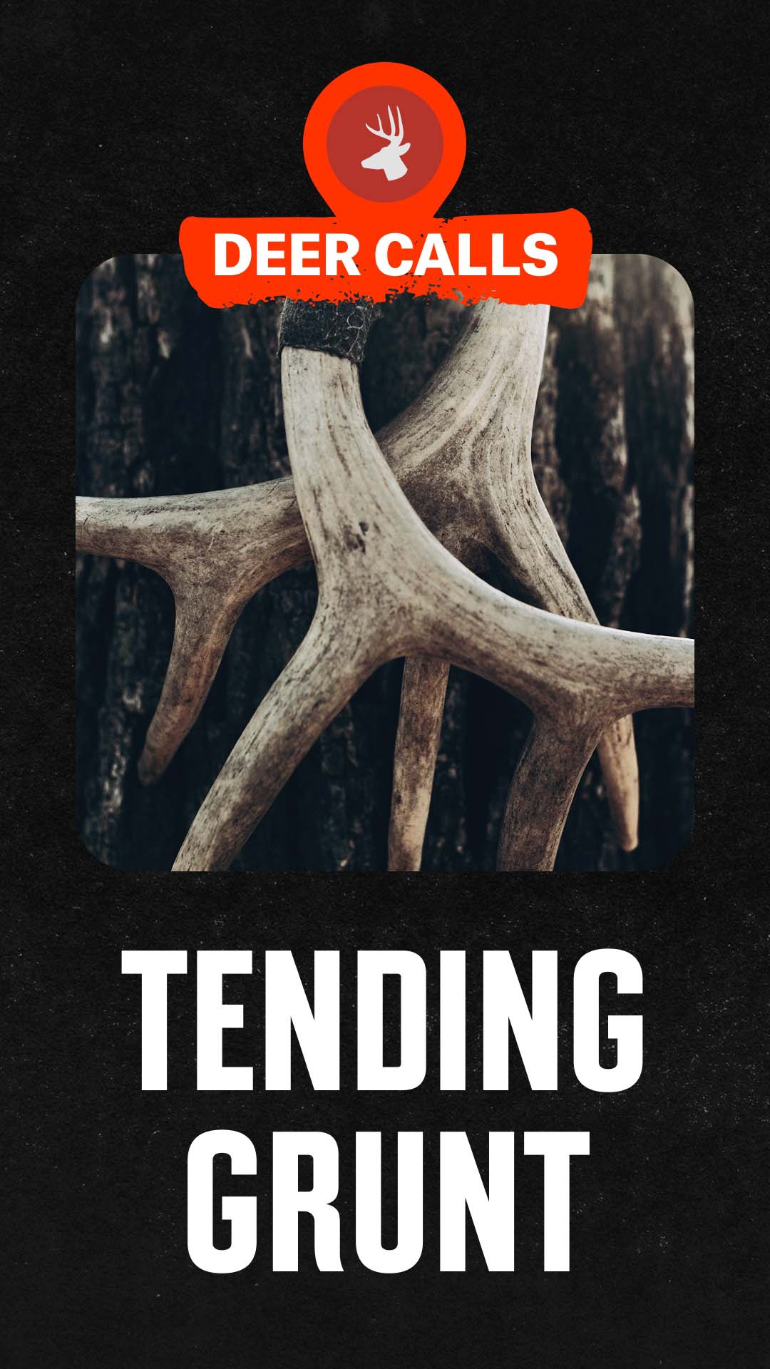 Feature slider item
