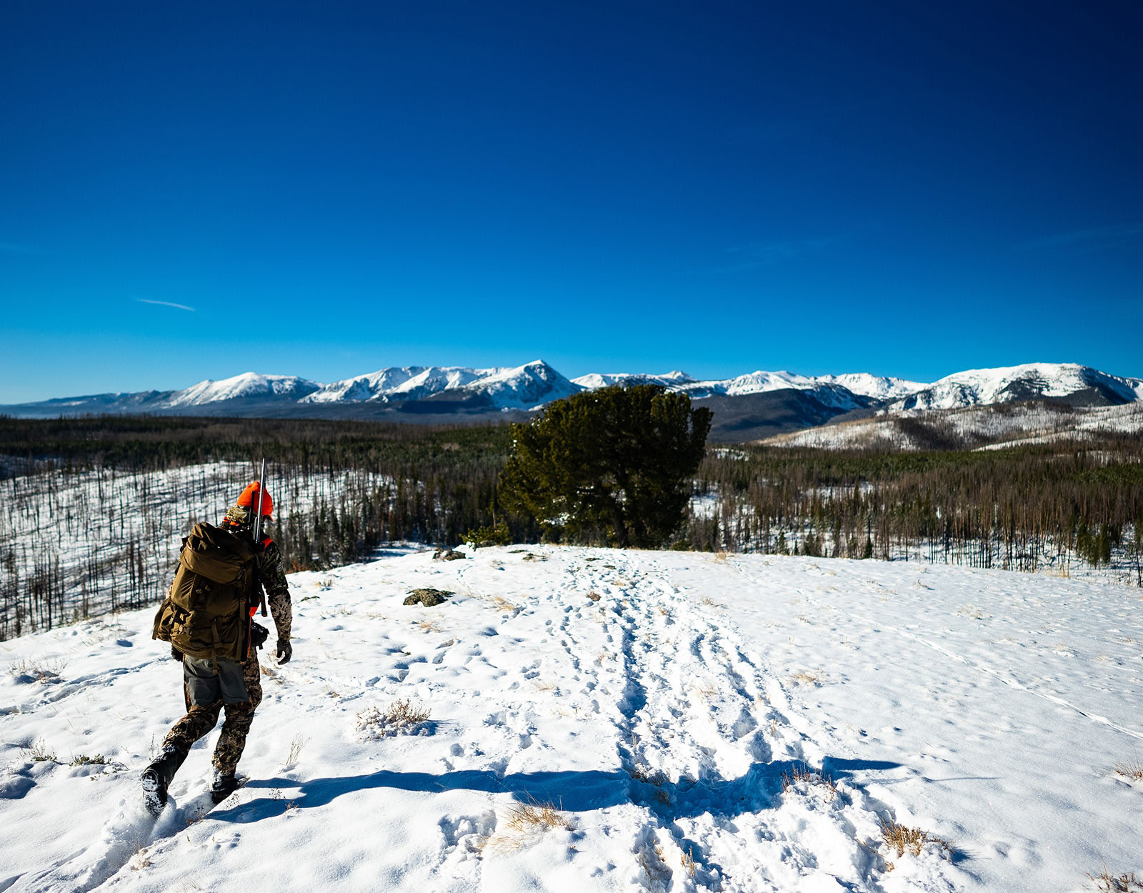 A hunter in blaze orange treks through the snow.