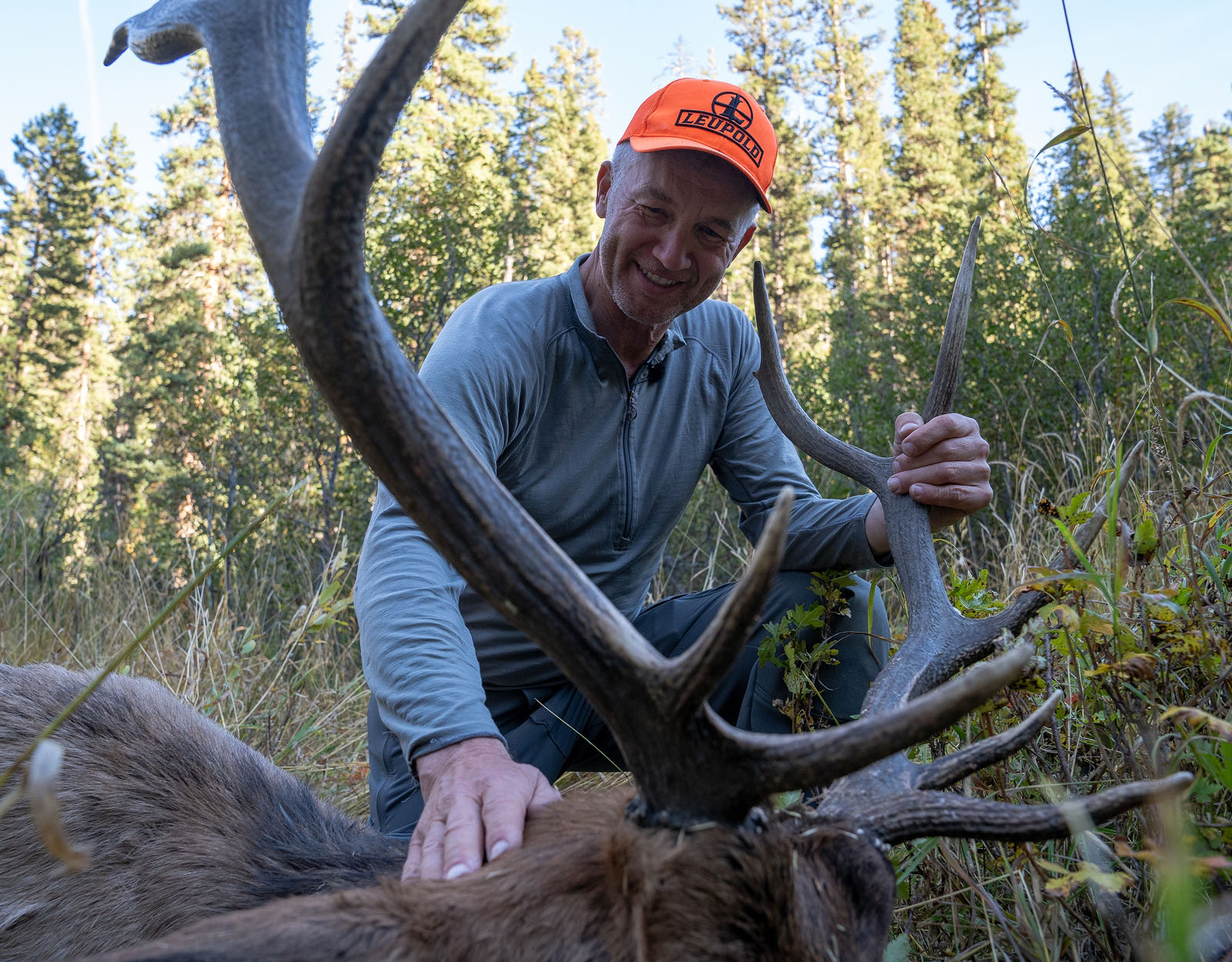 A hunter in a blaze orange hat admires the bull elk they just harvested.