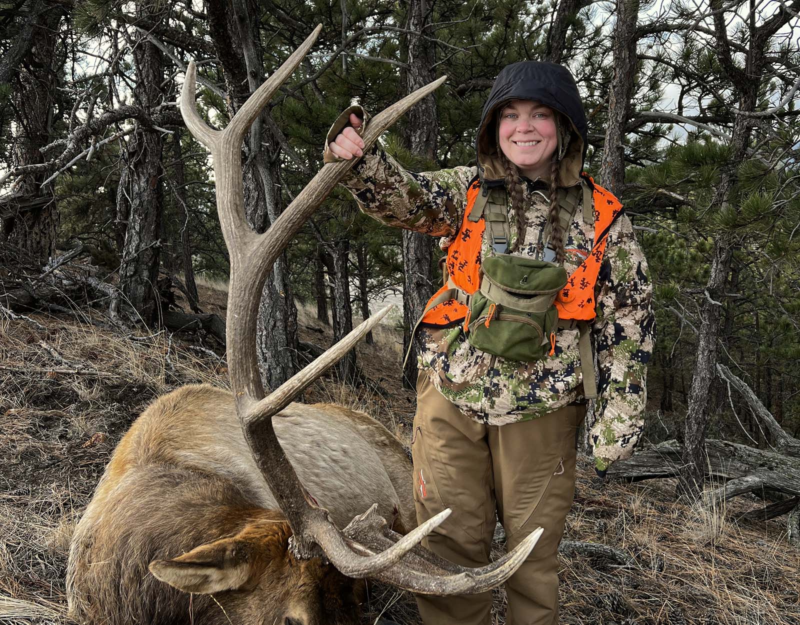 A woman posing with that bull elk she harvested