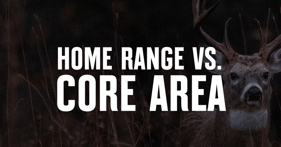 A whitetail buck with home range versus core area overlaid in white font