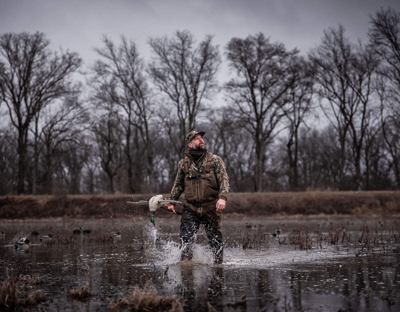 A duck hunter walks through the water.