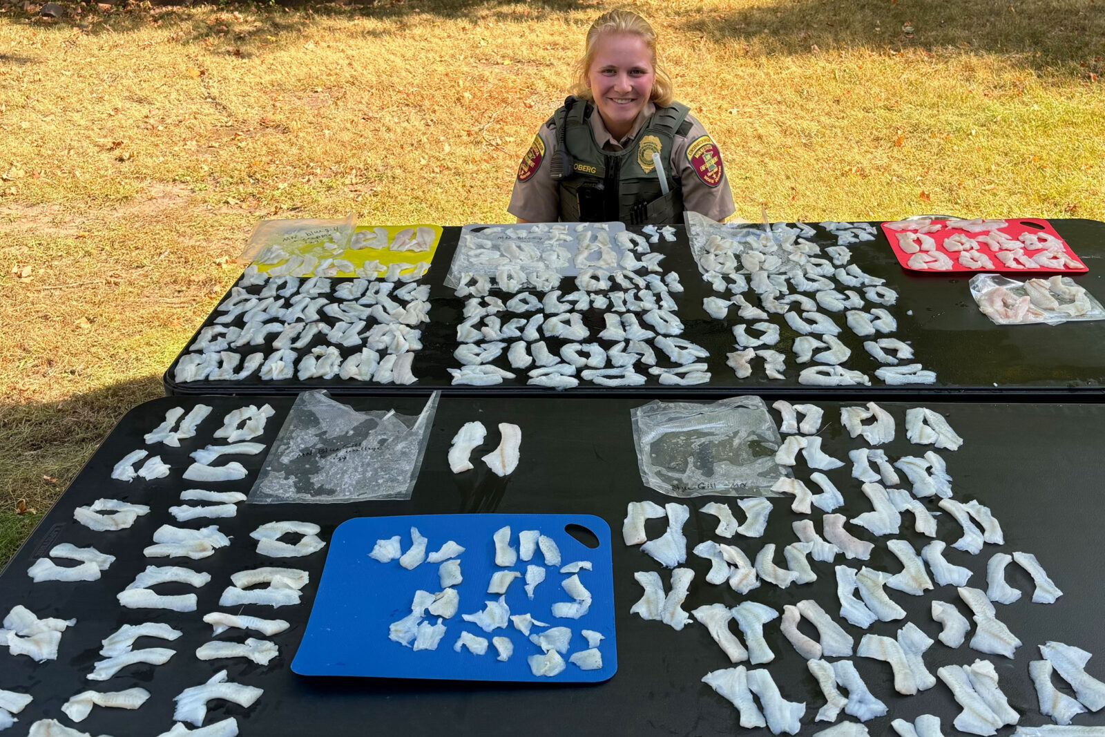 Conservation Officer Calli Oberg and the 118-sunfish over-limit described below. Photo courtesy of Minnesota Department of Natural Resources.