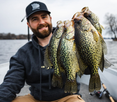 Crappie Image