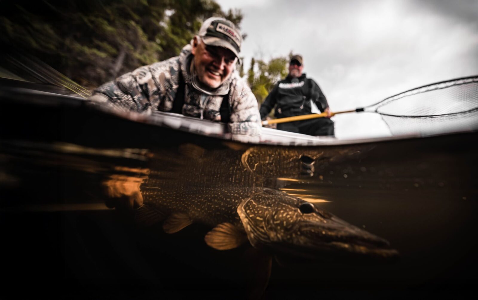 An angler reaches underwater for a giant pike