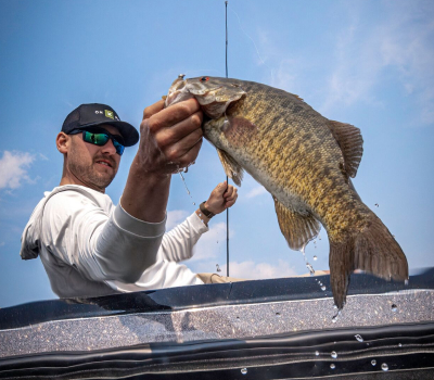 Smallmouth bass image