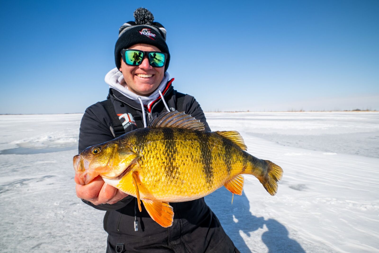 angler holding a yellow perch caught ice fishing