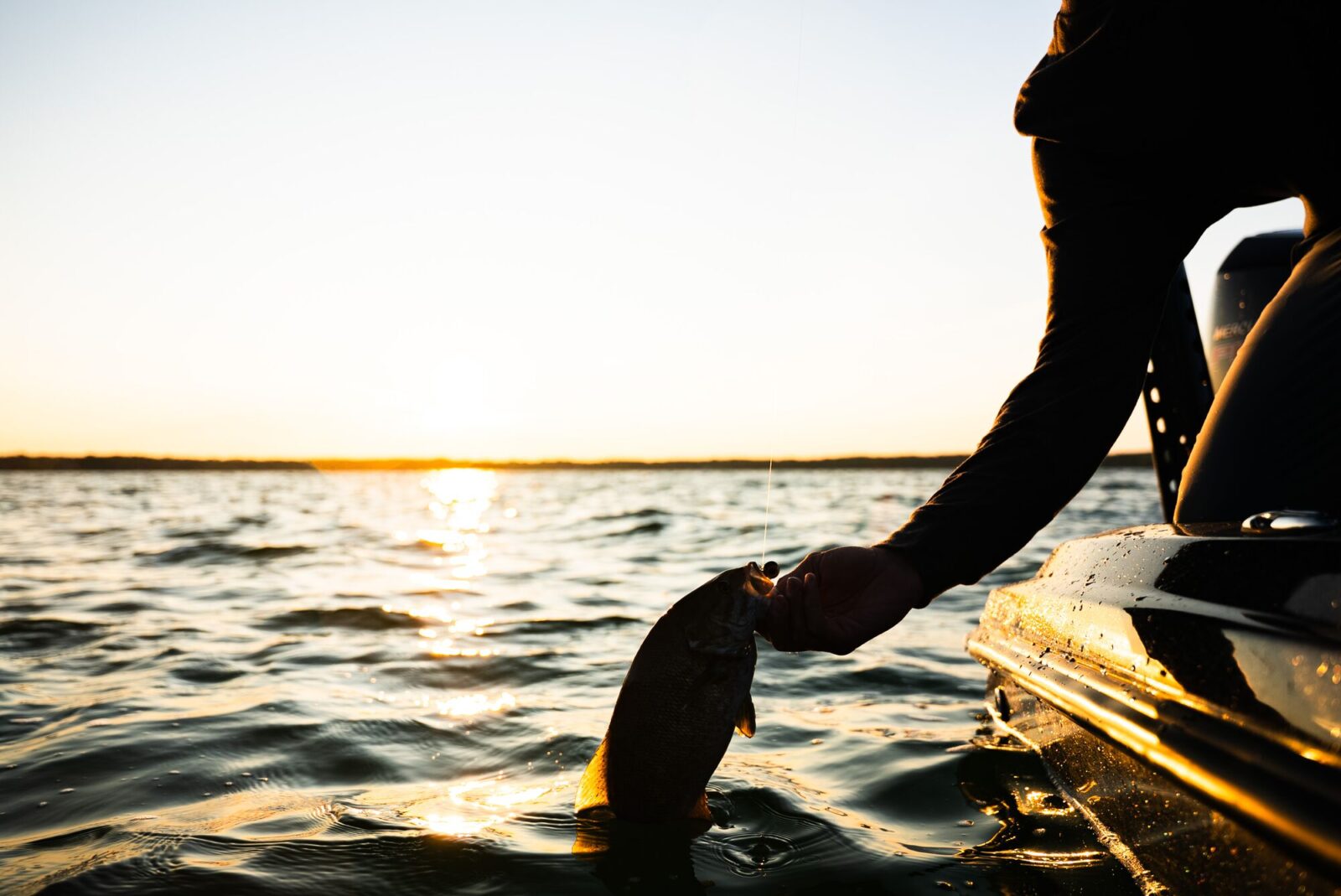 angler in a boat pulling a bass out of the water