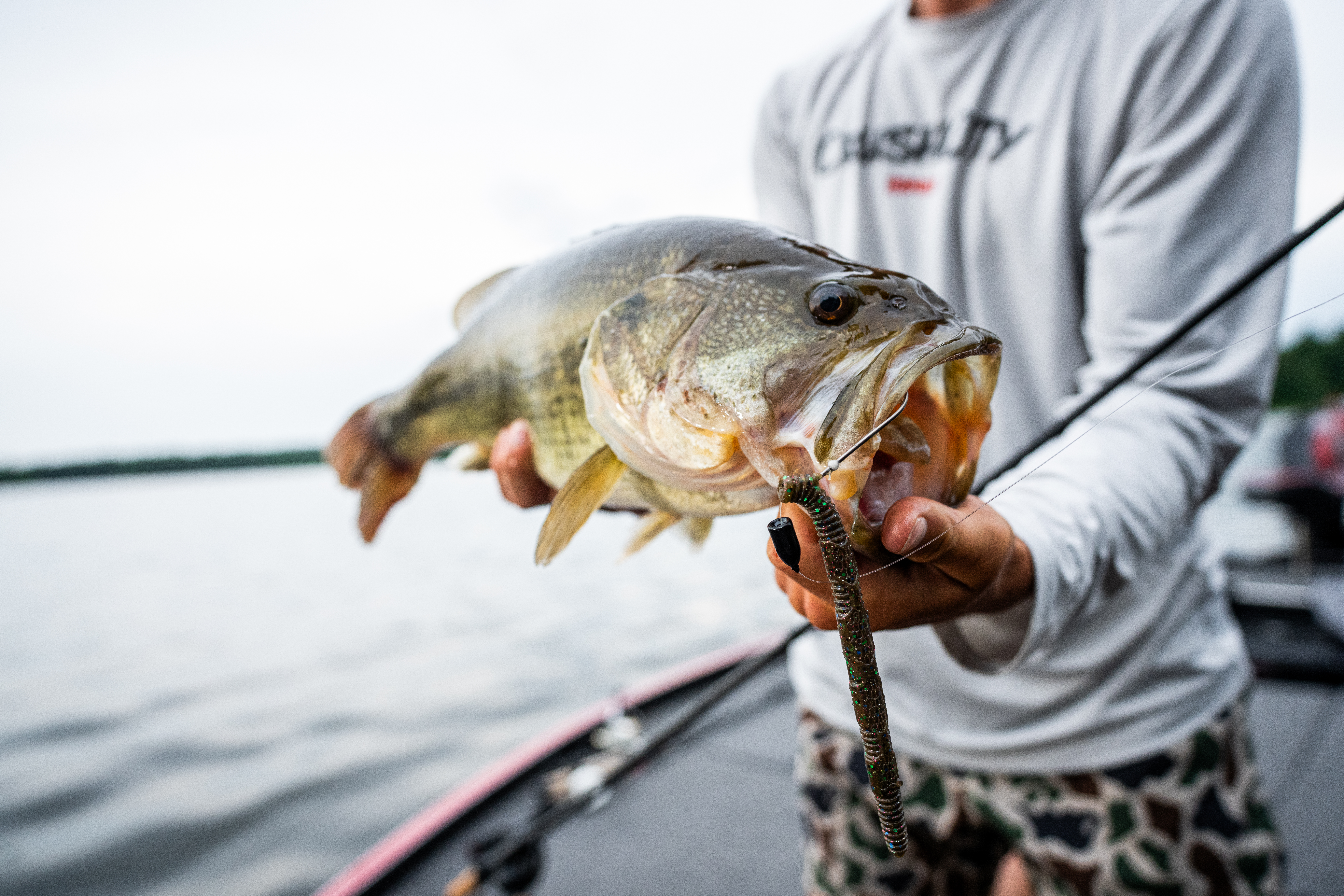 largemouth bass with a lure in its mouth 
