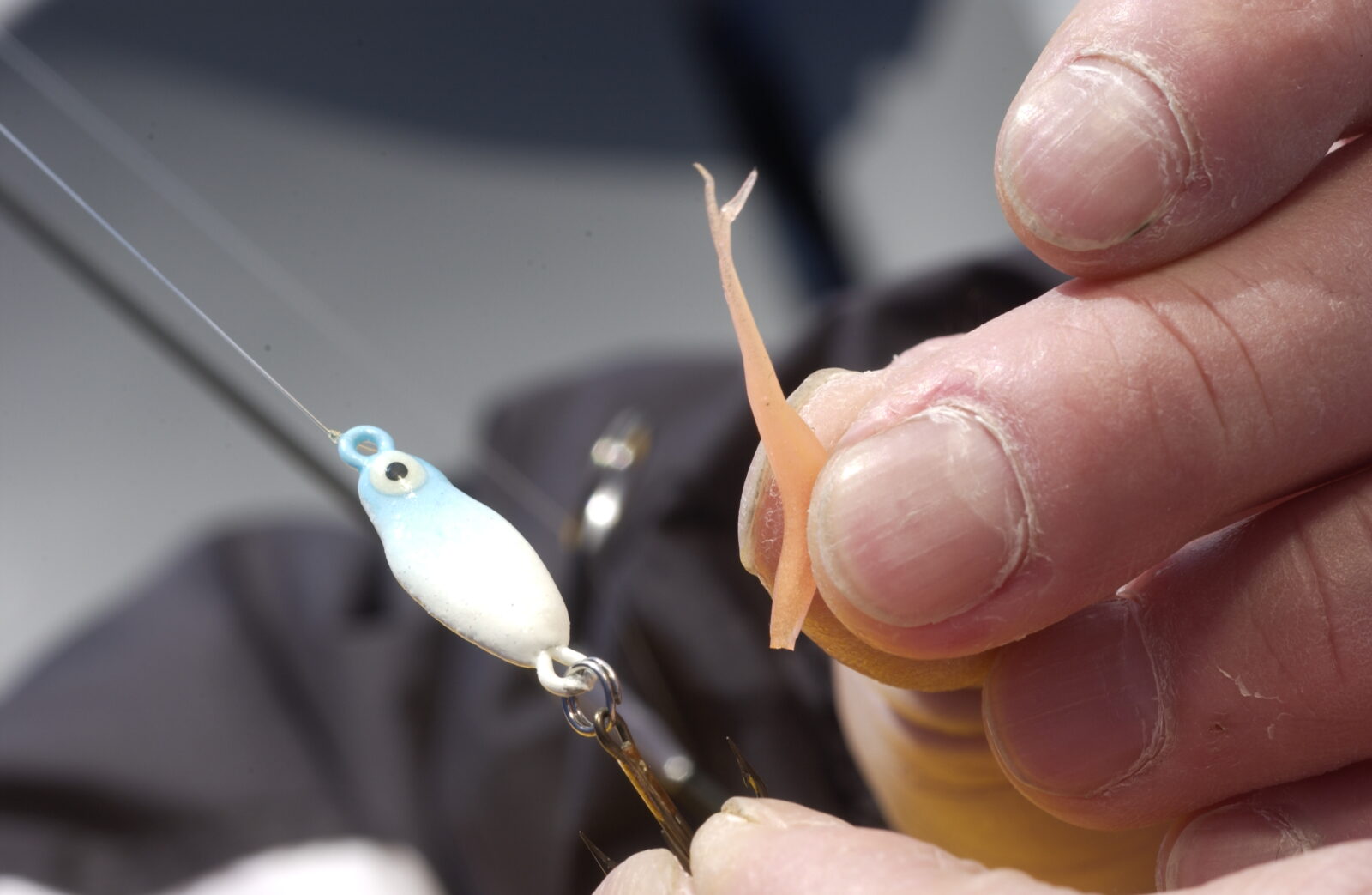 jigging spoon and soft plastic lures