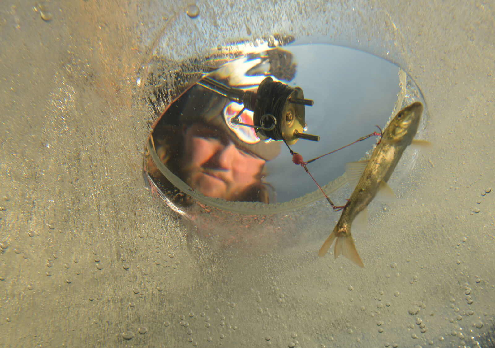 angler looking into an ice hole with a minnow on the line