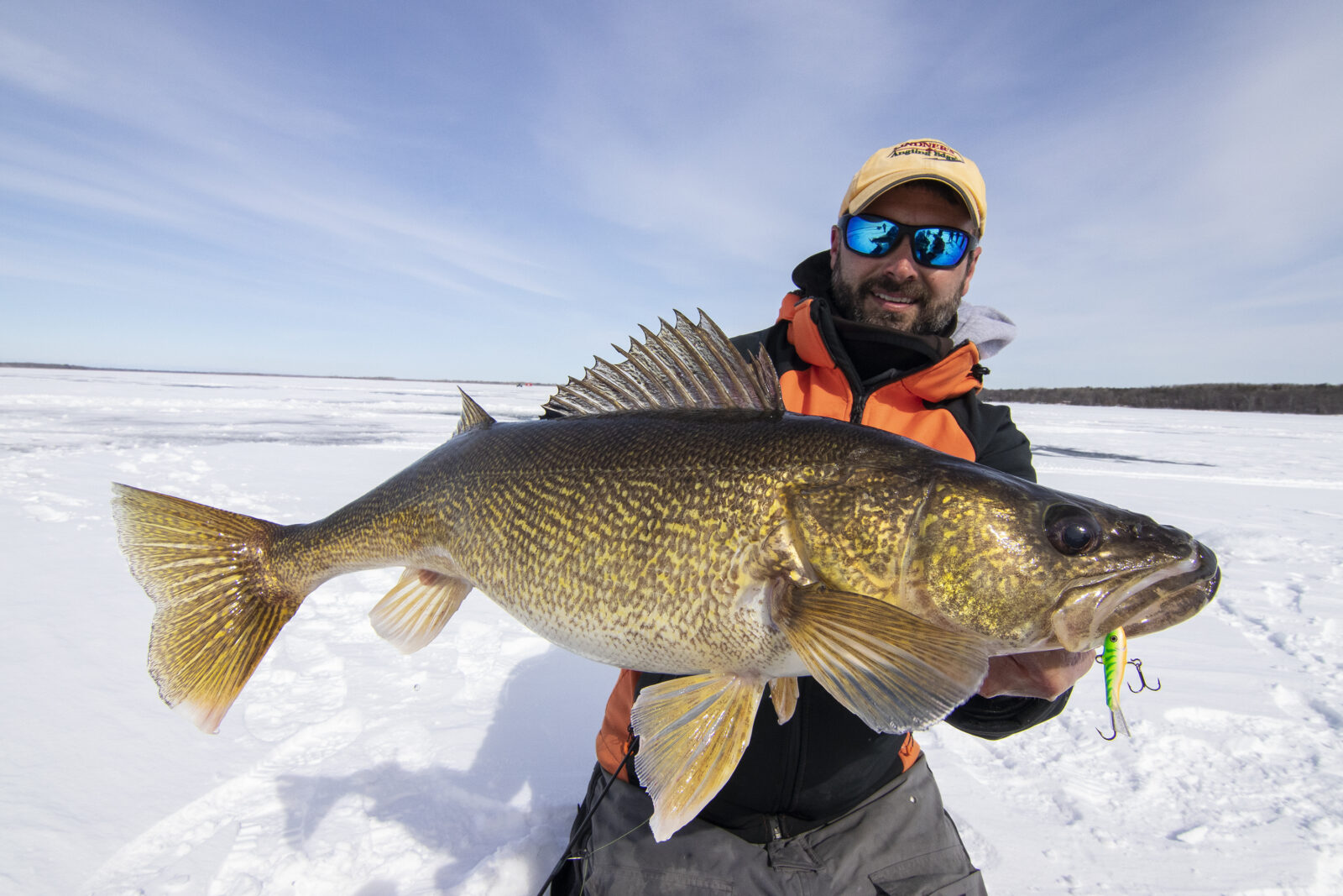 trophy size walleye caught ice fishing