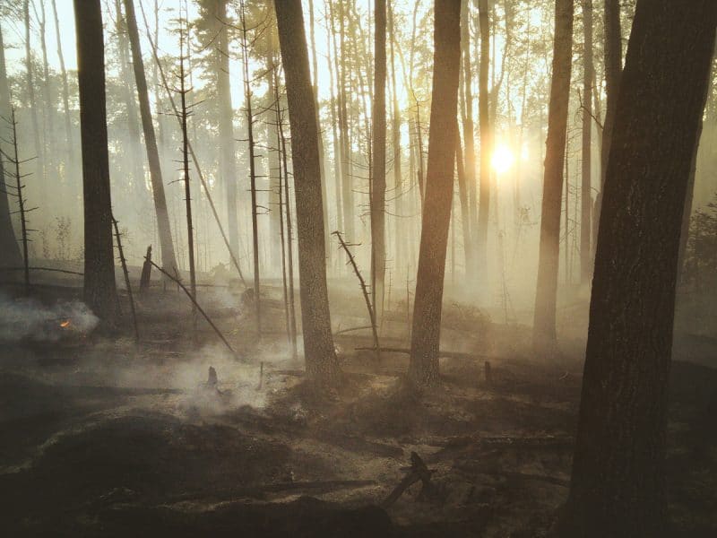 Fire In Place Making Connections: Experiencing Wildfire Impacts on the Landscape ...