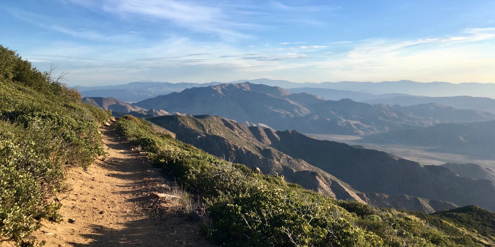 view of the mountains from the pacific crest trail 