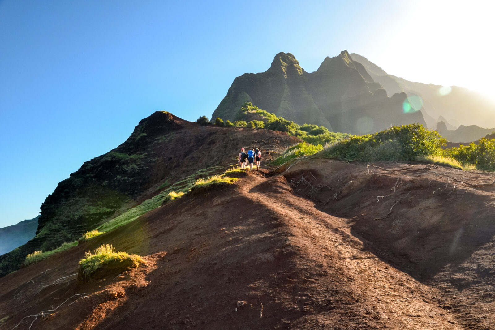 looking up the Kalaula trail