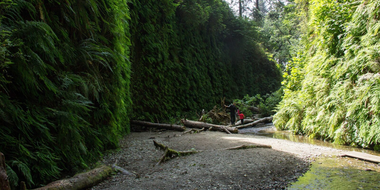 Fern canyon with 2 hikers