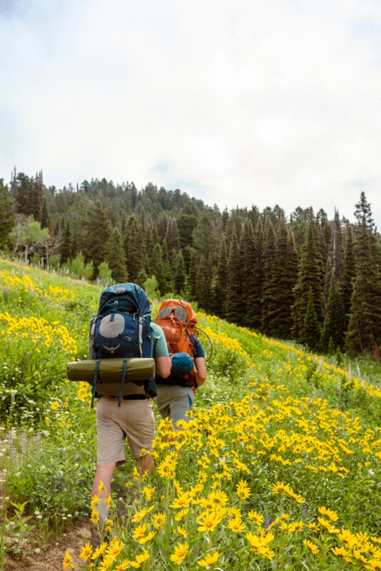 The Ultimate Hiking App onX Backcountry - K Cooney Summer Trails 16 534x800 