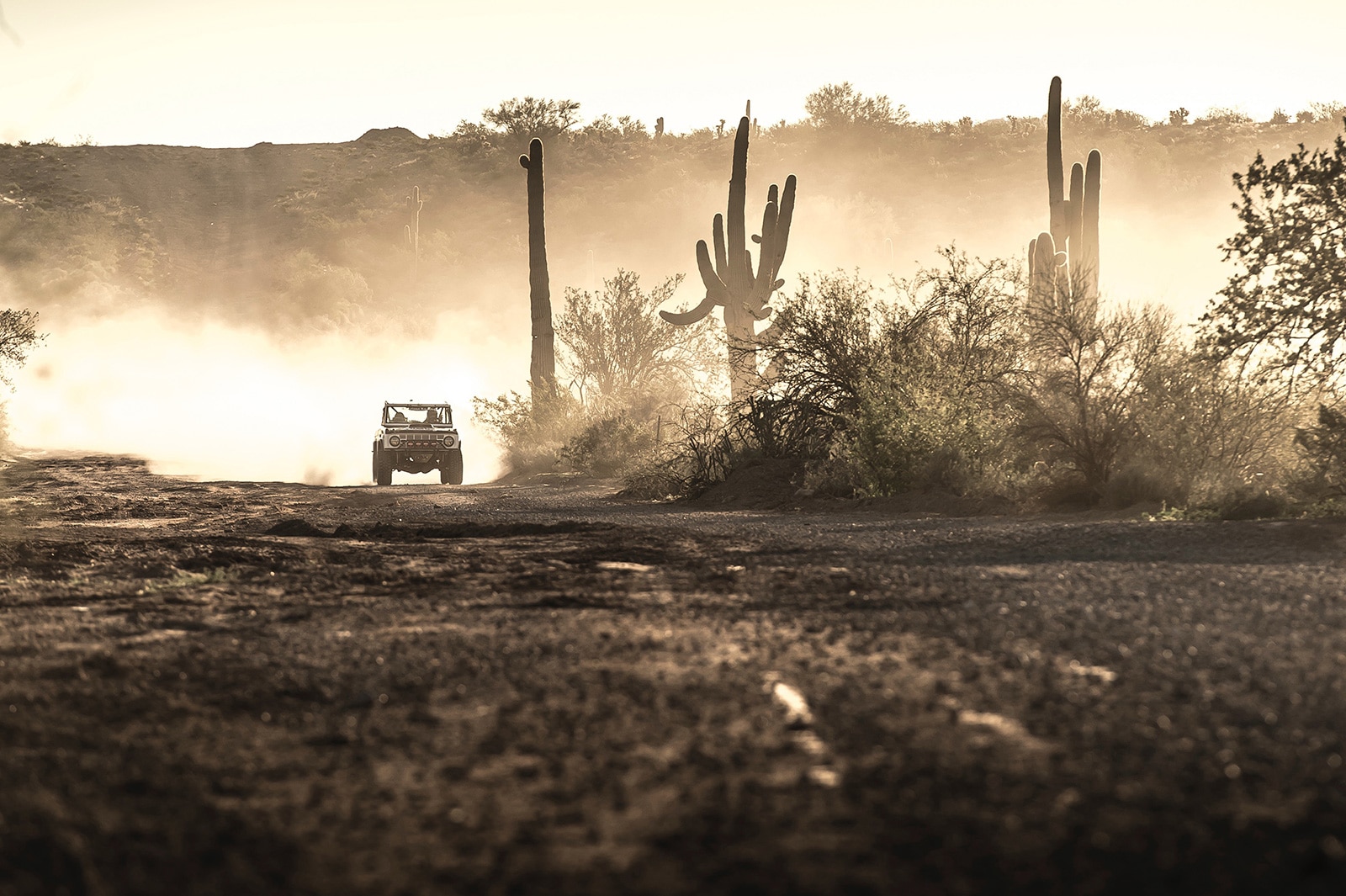 Desert off-roading in Arizona