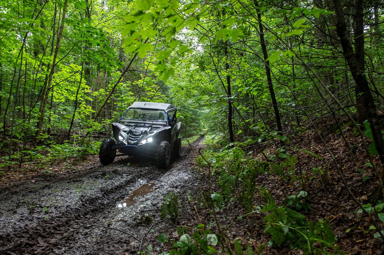 Side-by-side forest trail in Michigan