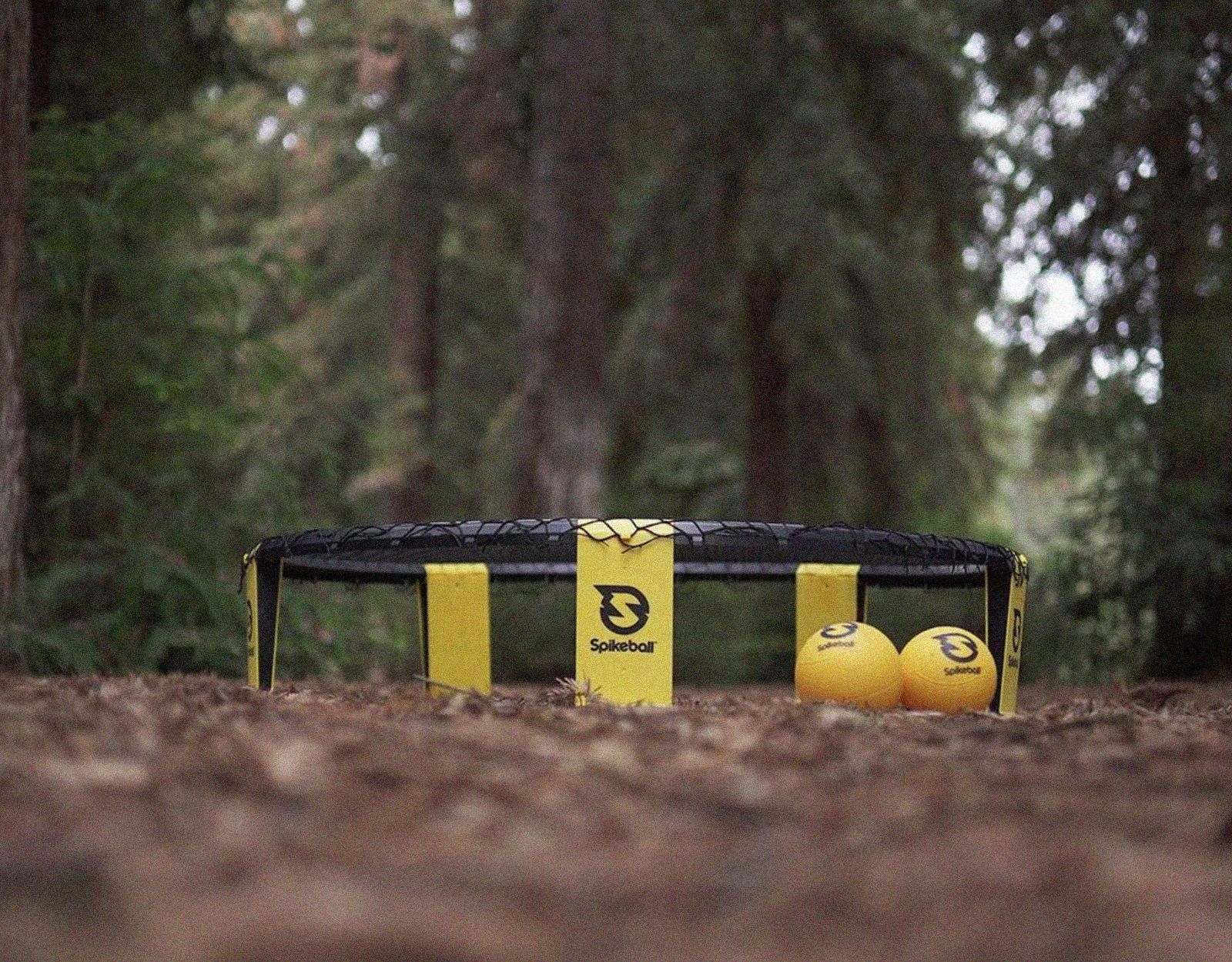spikeball set in a forest 