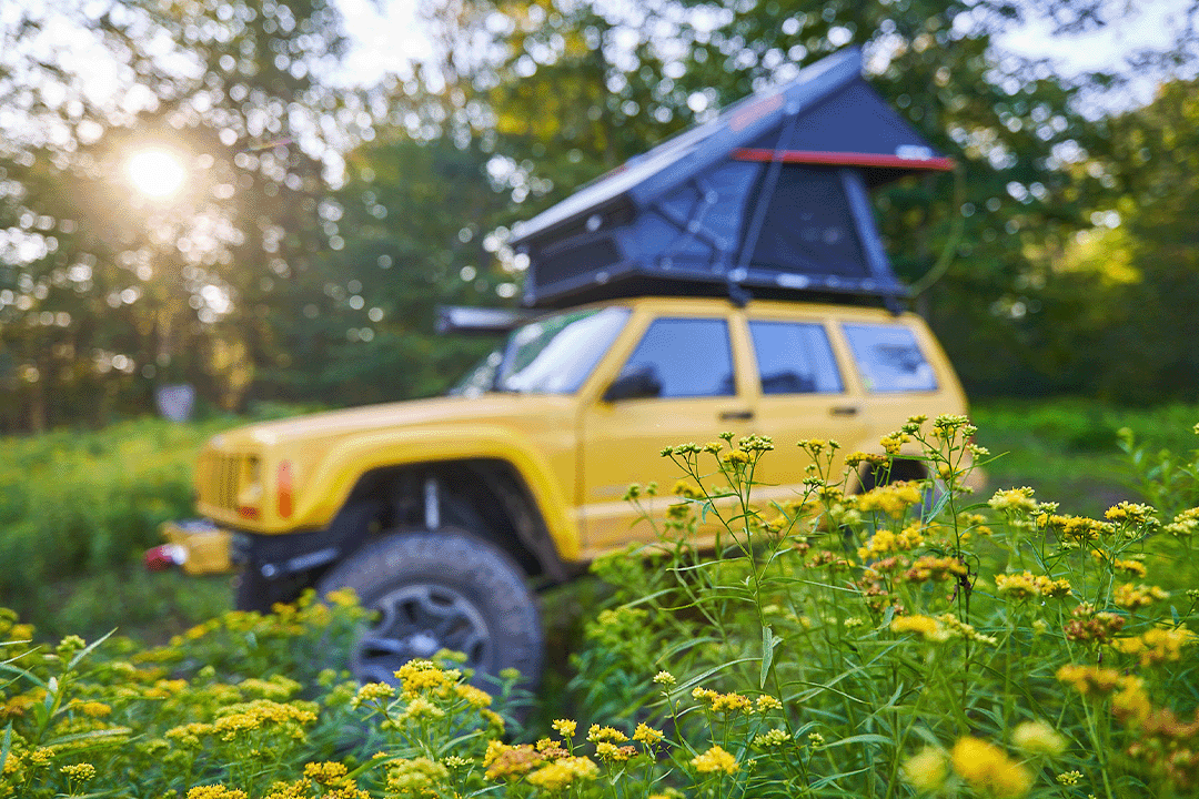 onX Offroad overlander